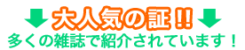 �G���ɏЉ�